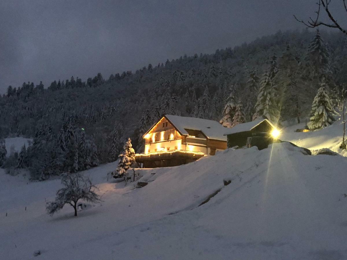Le Cabanon De Lafermedunol Villa La Bresse Buitenkant foto
